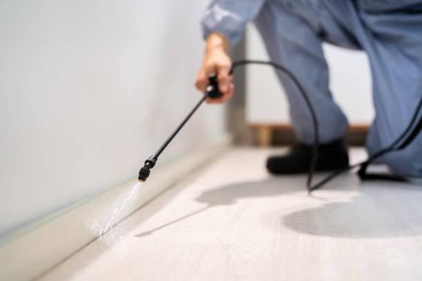 Rodent Entry Point Assessment in Seabrook