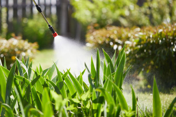 Tamper-Resistant Bait Stations for Rodents in Seabrook