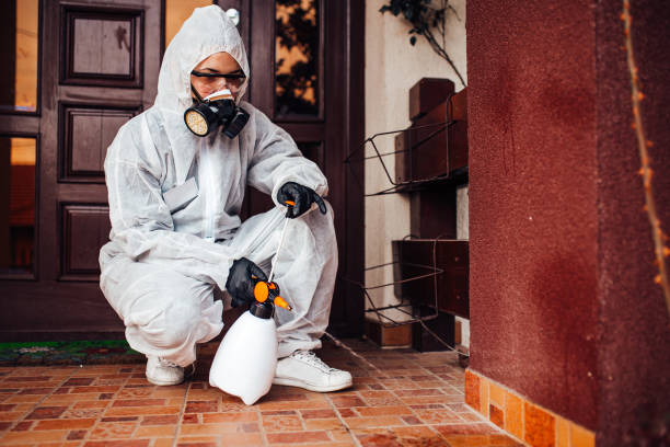Attic and Crawl Space Rodent Treatment in Seabrook